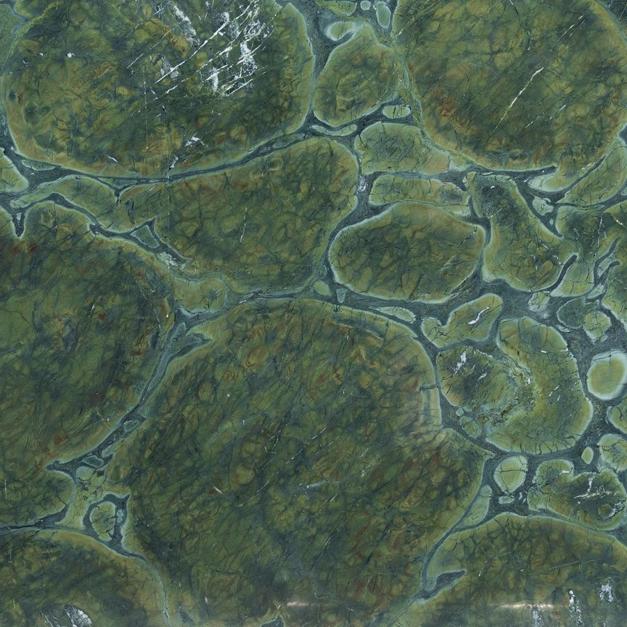 Tortouse Green